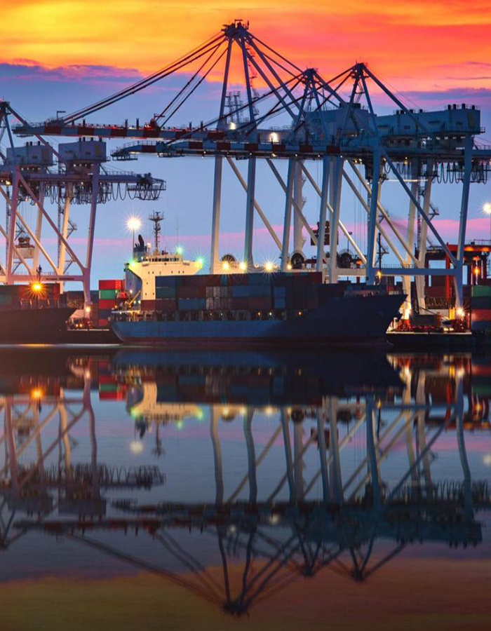 Supply Chain Intelligence